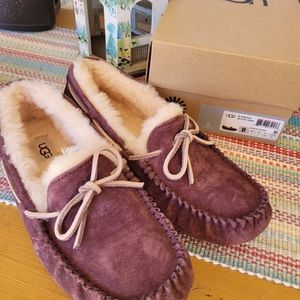 Ugg Dakota Port Slippers